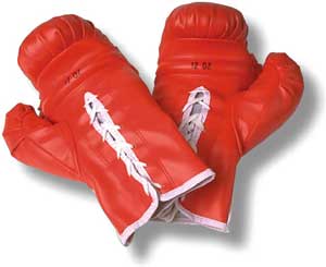 Boxhandschuhe