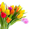 © FedotovAnatoly - fotolia.com © FedotovAnatoly - fotolia.com