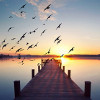 © eyetronic - fotolia.com © eyetronic - fotolia.com