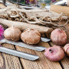 © Mirko – stock.adobe.com © Mirko – stock.adobe.com