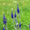 © ahavelaar - stock.adobe.com © ahavelaar - stock.adobe.com